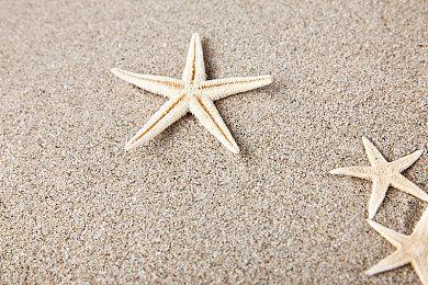 《装机模拟器2》新预告 10月12日Epic发售